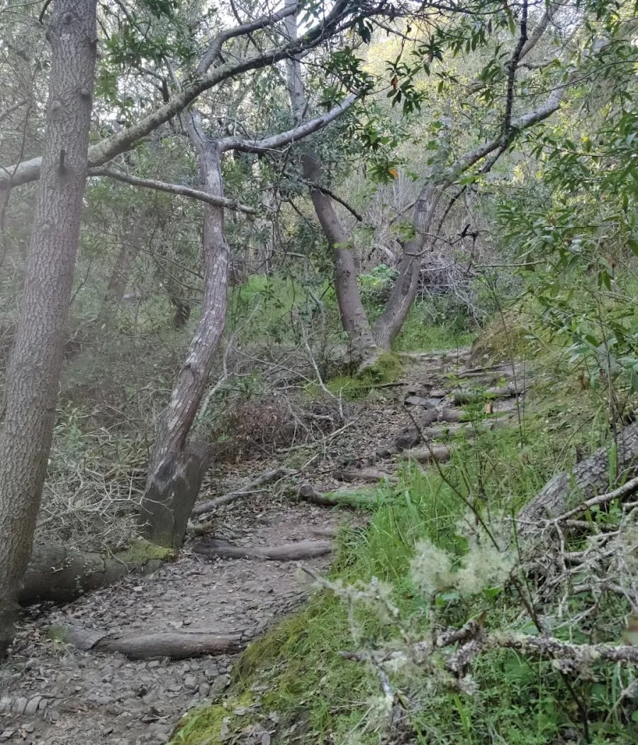 Mills Canyon - Arguello 1