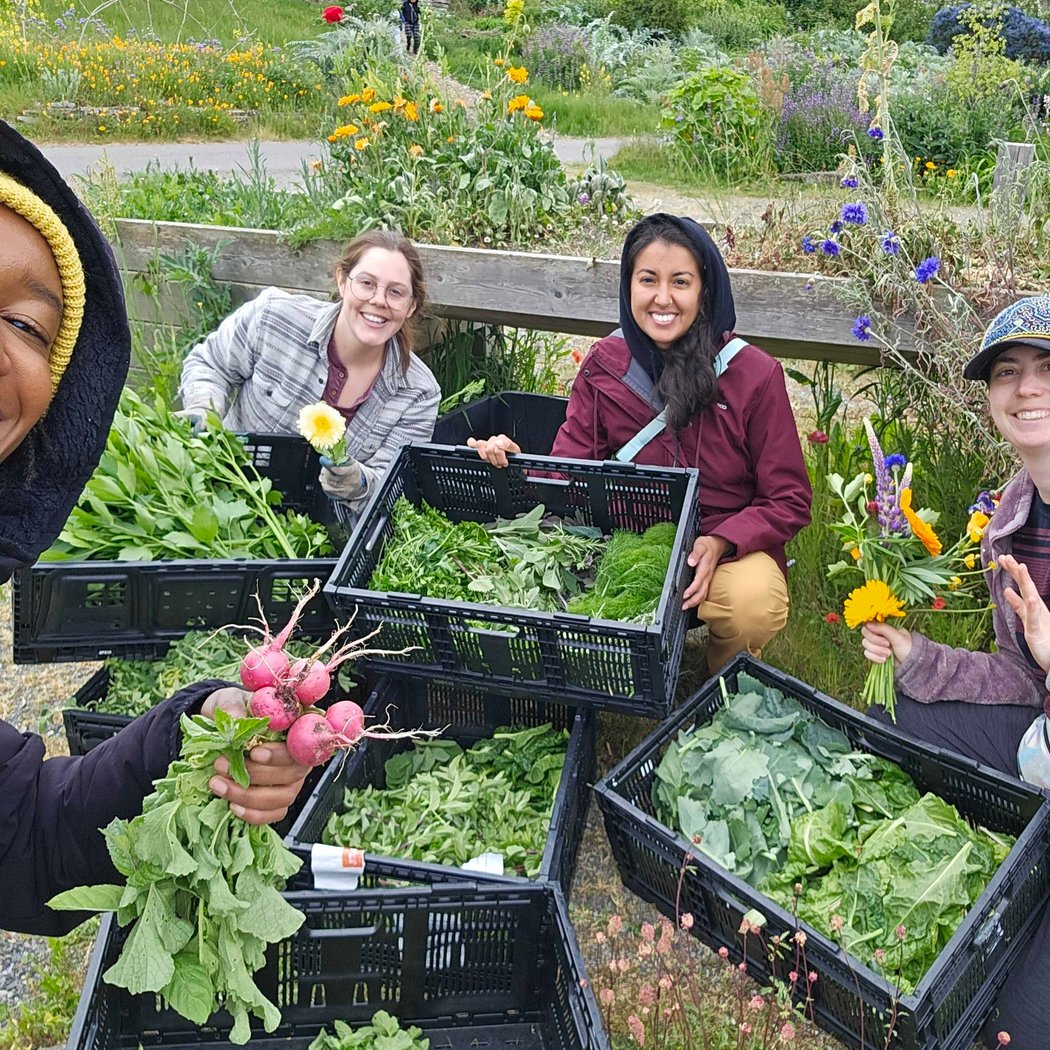 Beacon Food Forest 3
