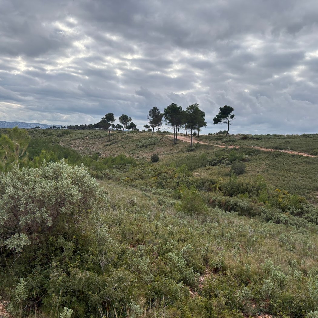 Plateau de Vitrolles 3
