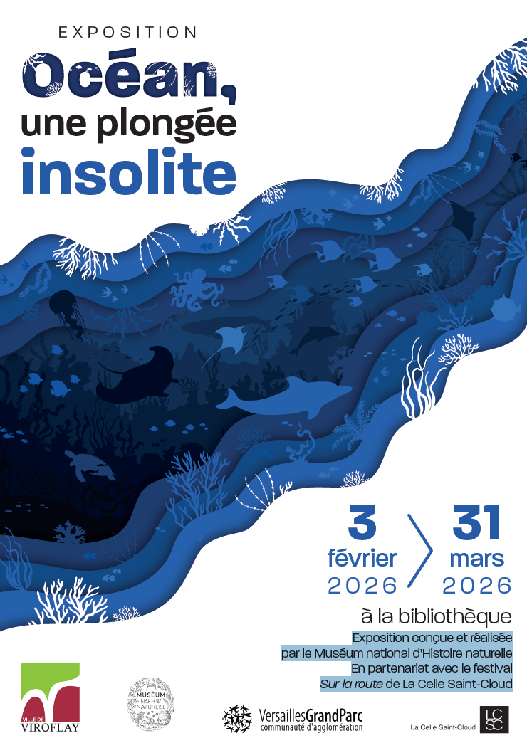 Océan, une plongée insolite 1
