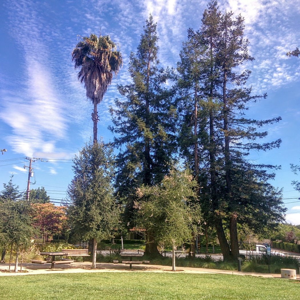 Franco Park 2