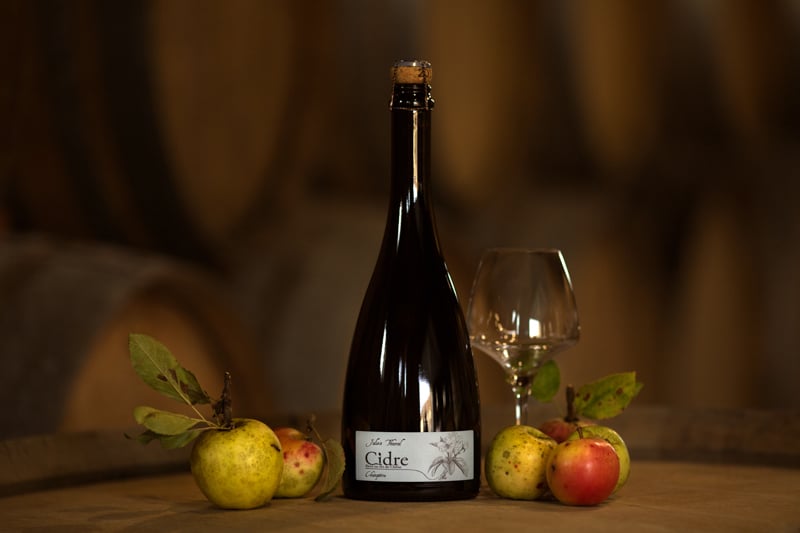 Domaine Julien THUREL & Vinaigre de Loire 1