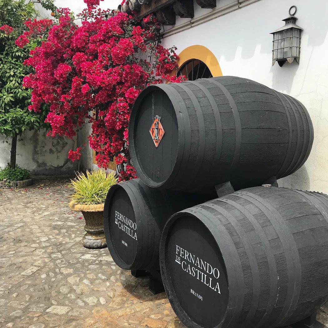 Bodegas Fernando de Castilla 3
