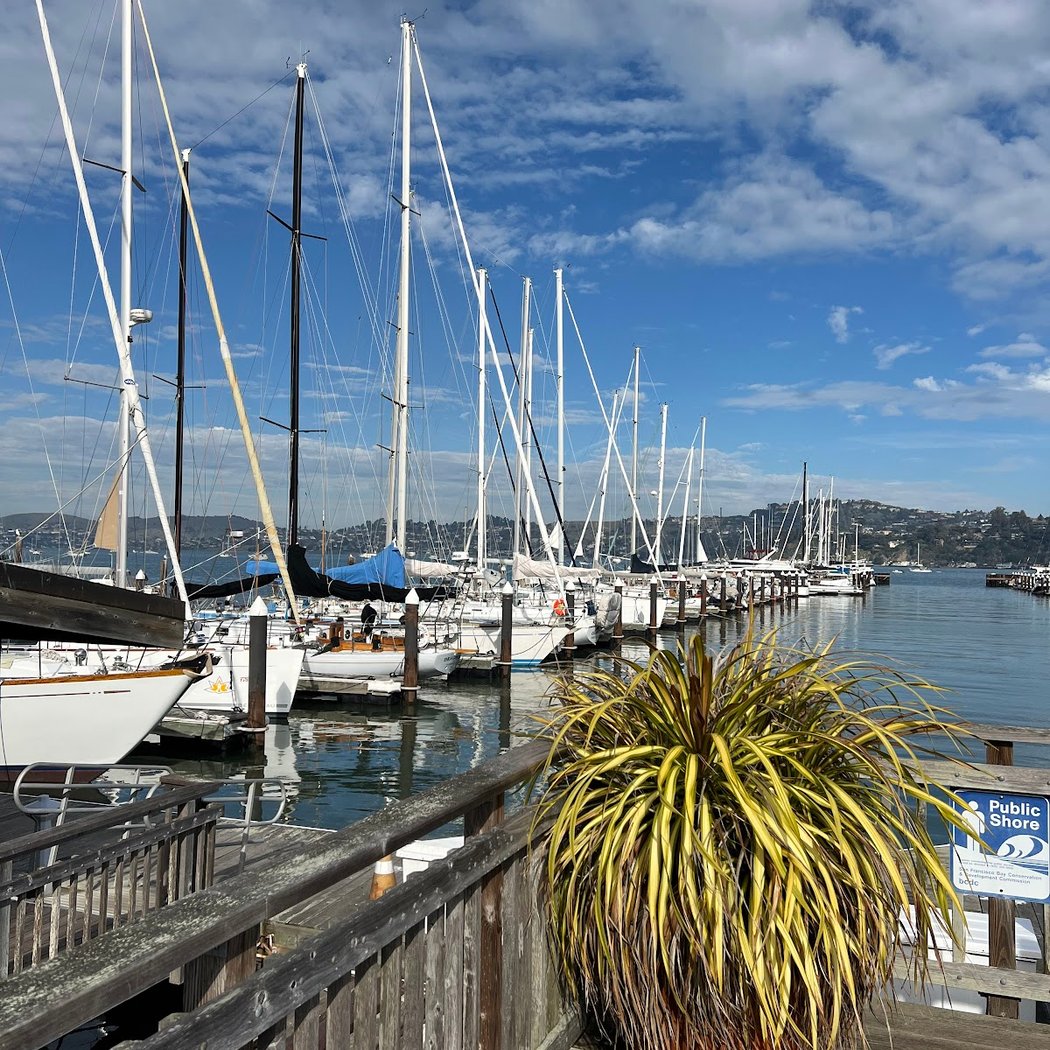 Pelican Harbour 2