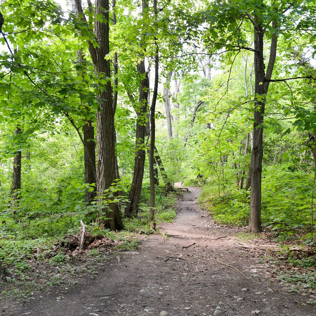 Riverdale Park 2