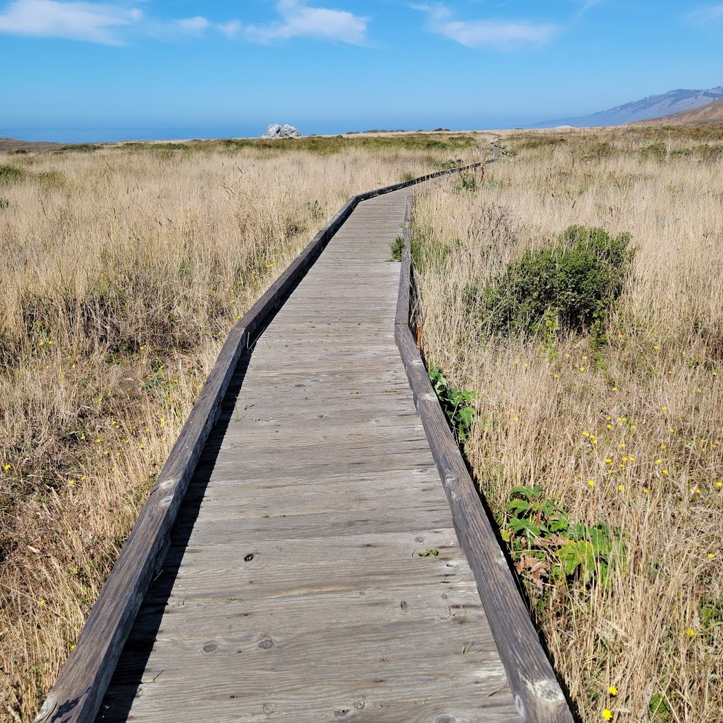 Kortum trail 3