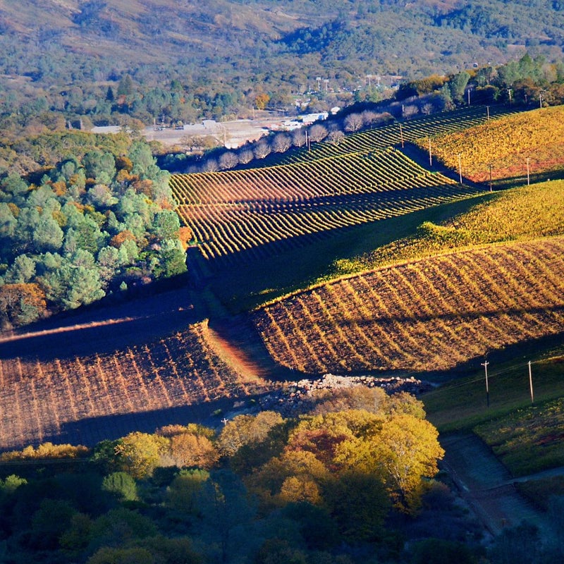 Intro to California Wine 1