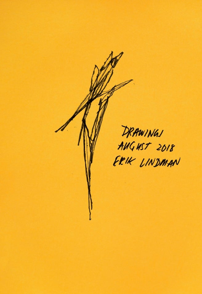 Book Launch with Erik Lindman 1