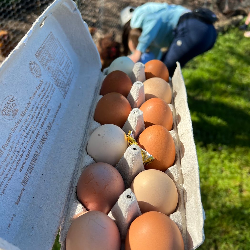 Draper Farms 1