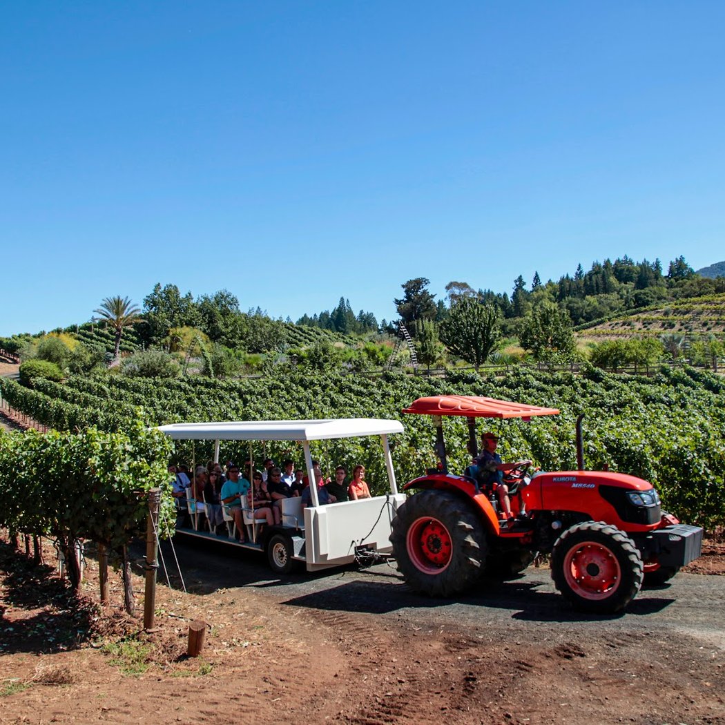 Fall Harvest Festival 1