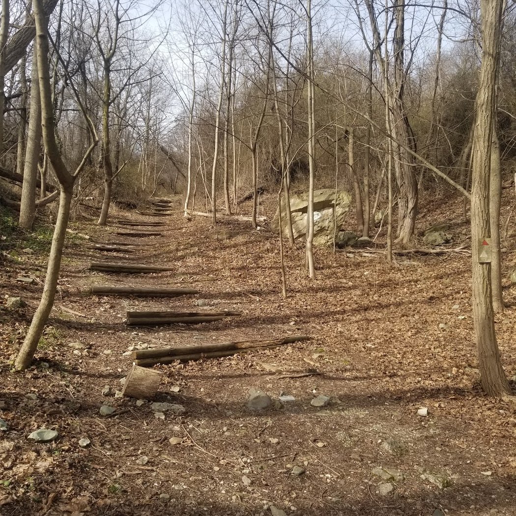 Serpentine Commons 2