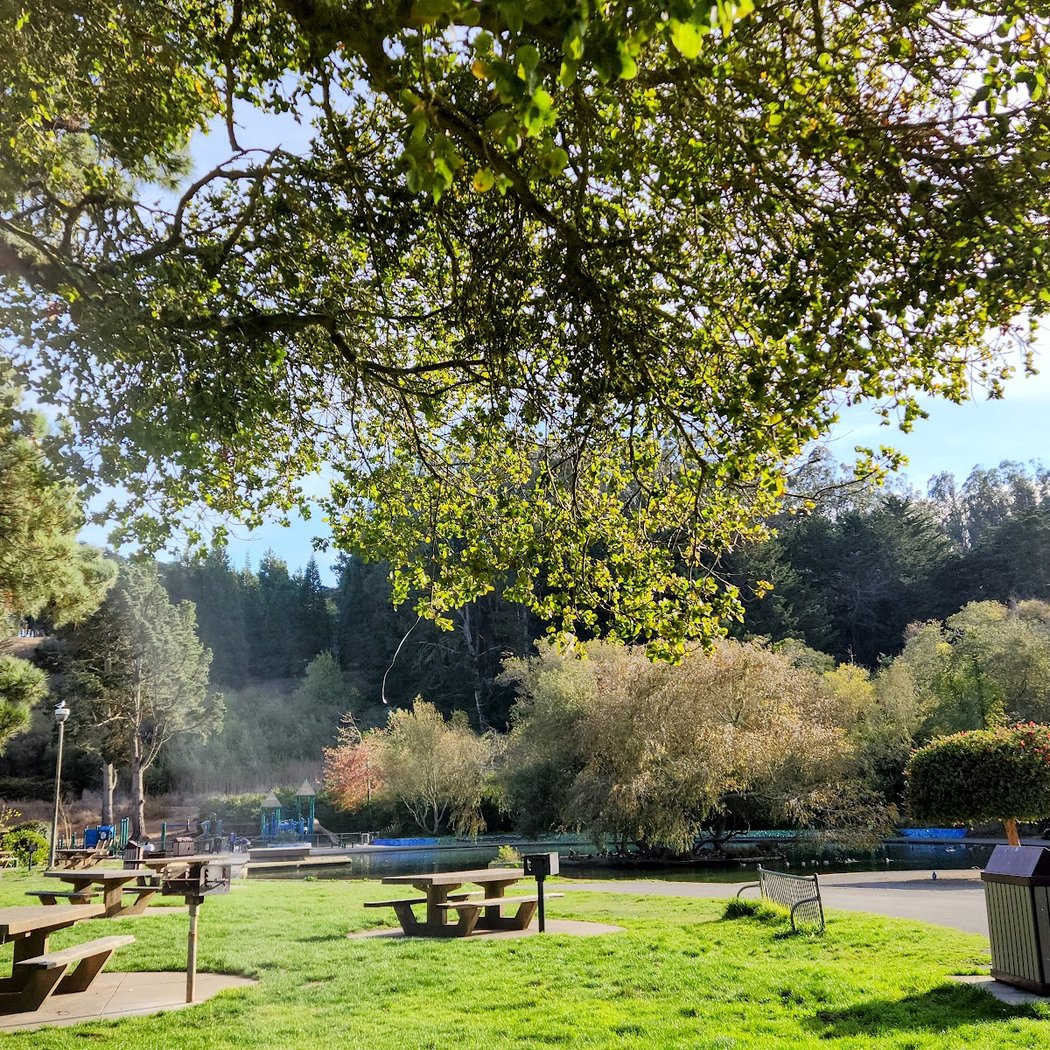 Louis Sutter Playground Park 1