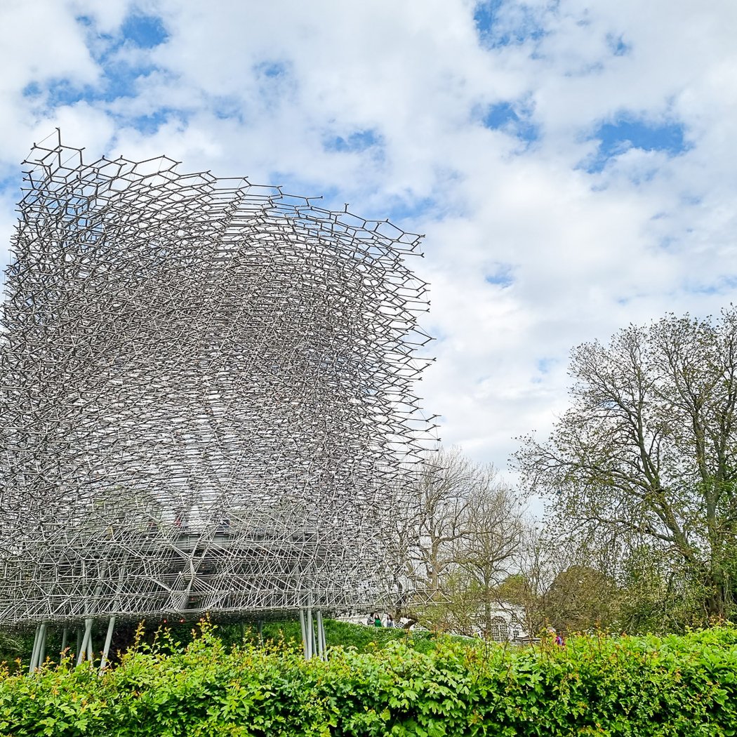 The Hive 3
