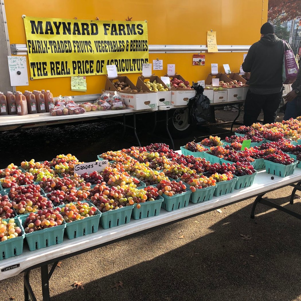 McCarren Park Greenmarket 3