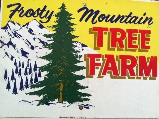 Frosty Mountain Tree Farm 2
