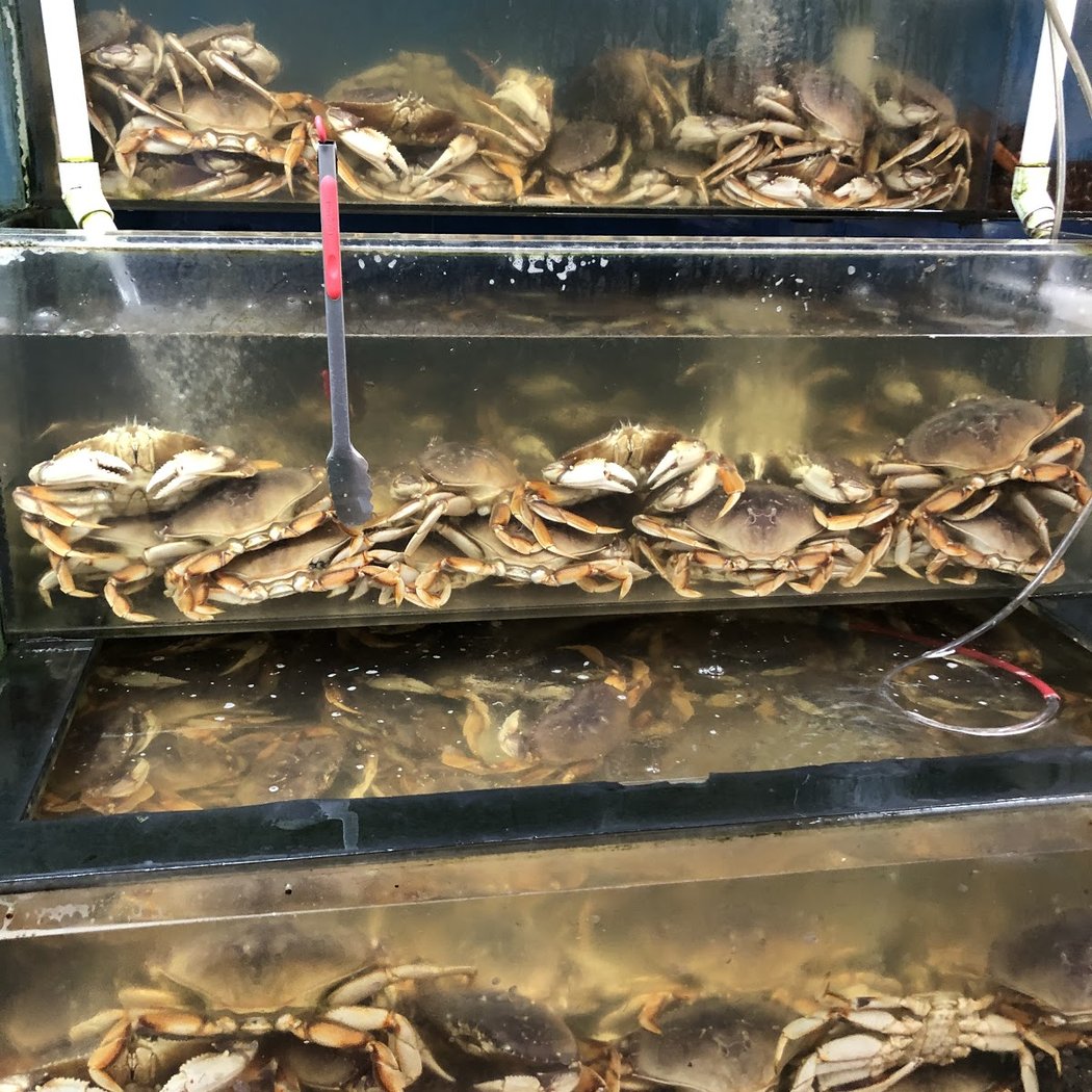 Green Fish Seafood Market (E&F inc) 1