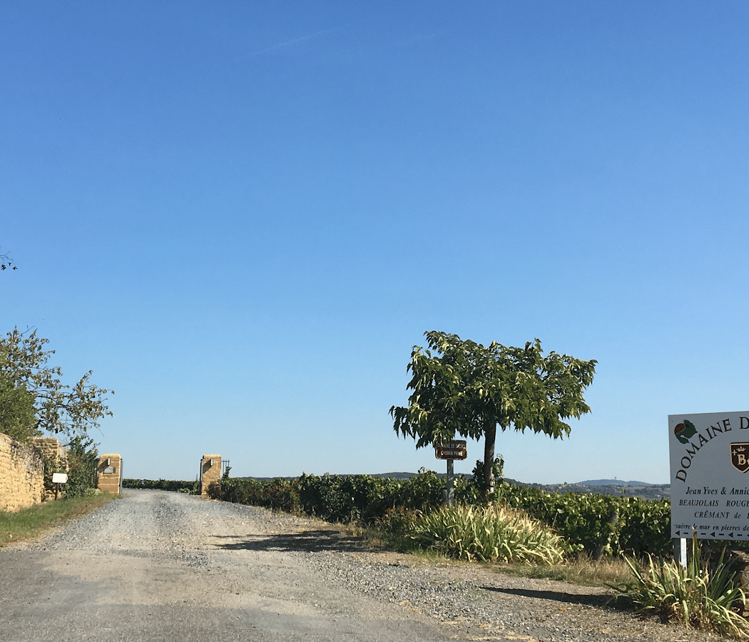 Domaine de Baluce 2