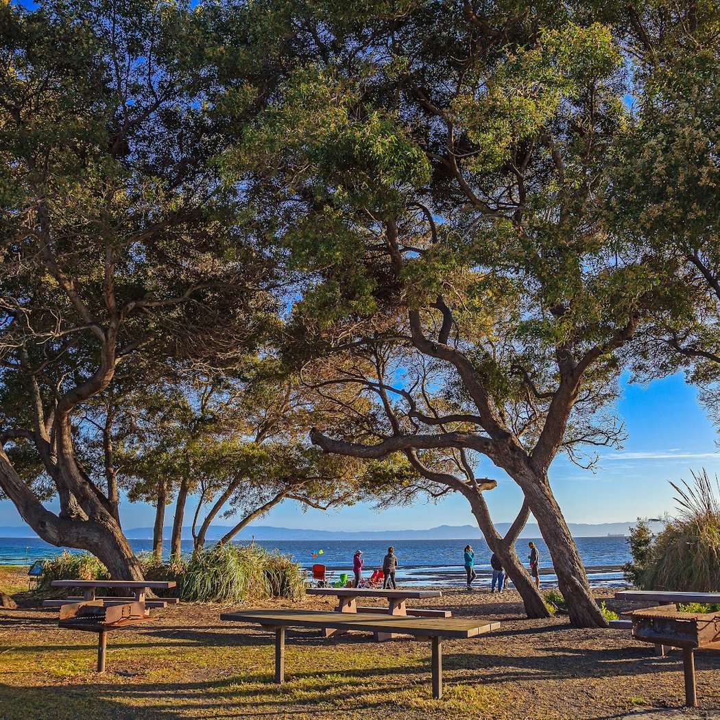 Sand Castle Picnic Area 1
