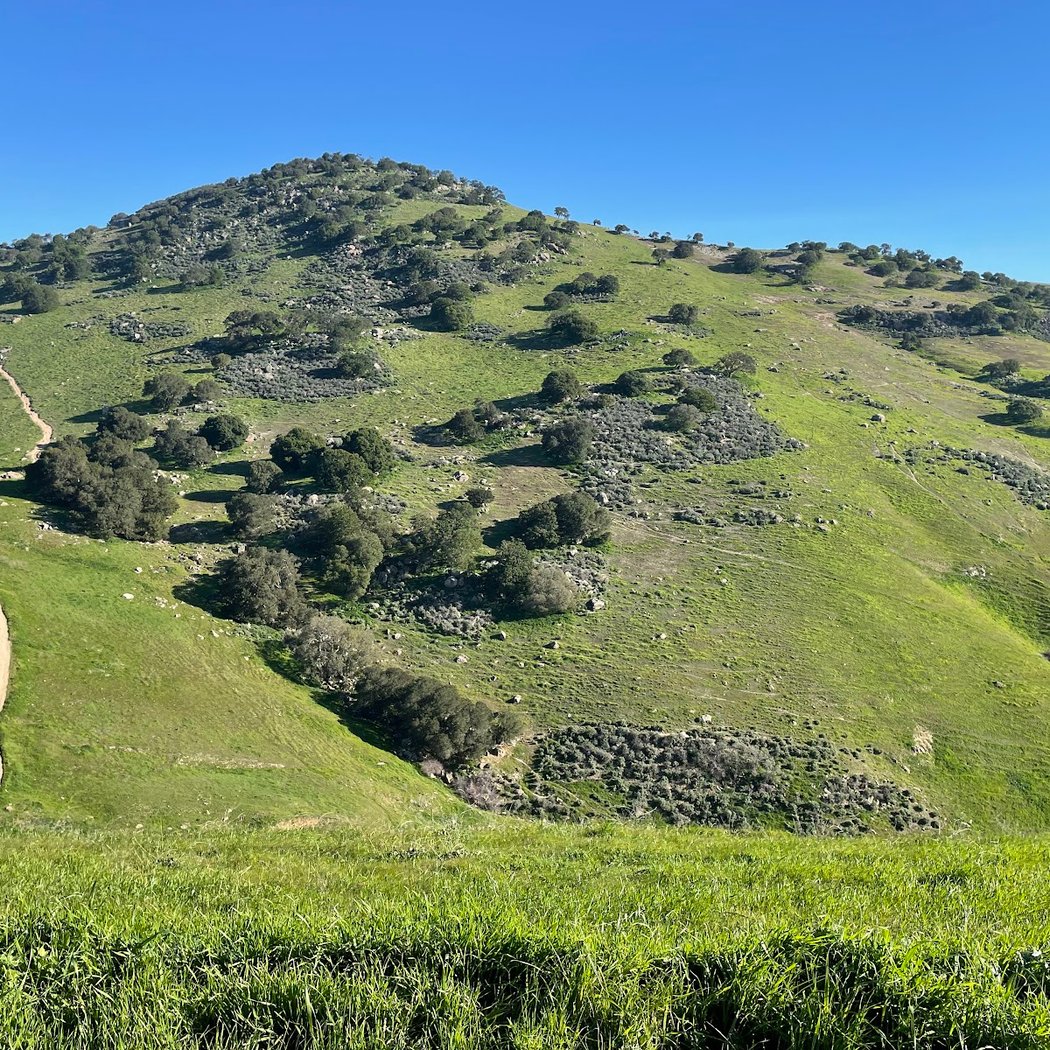 Brushy Peak Regional Preserve 2