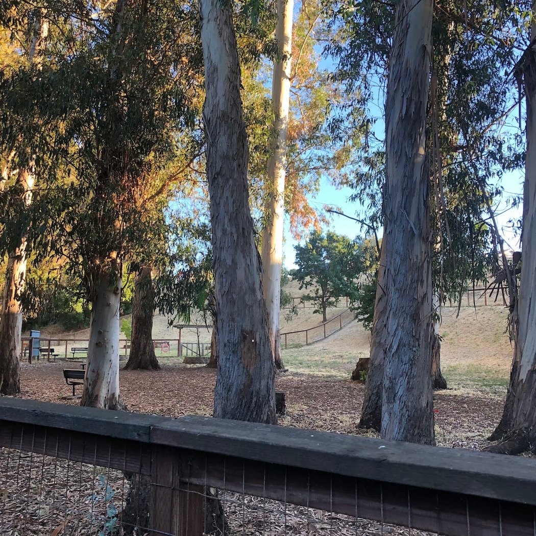 Dog park 3