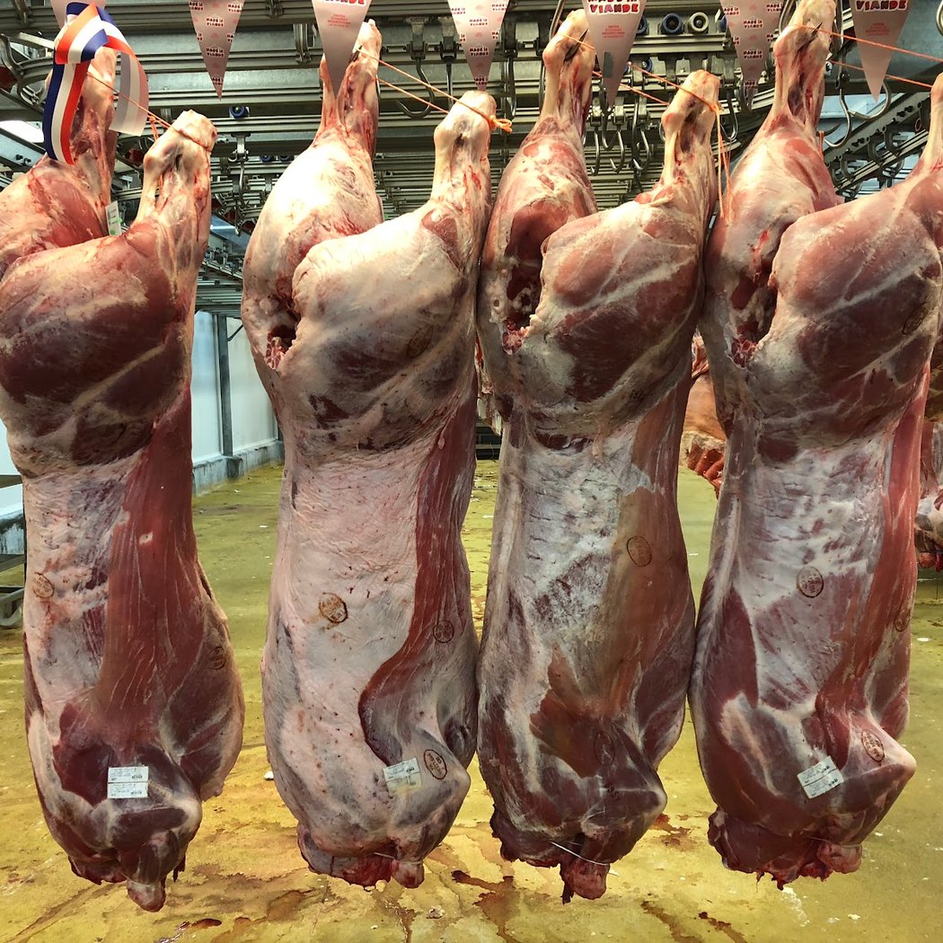 Marché International de Rungis - Grossiste Viande 1