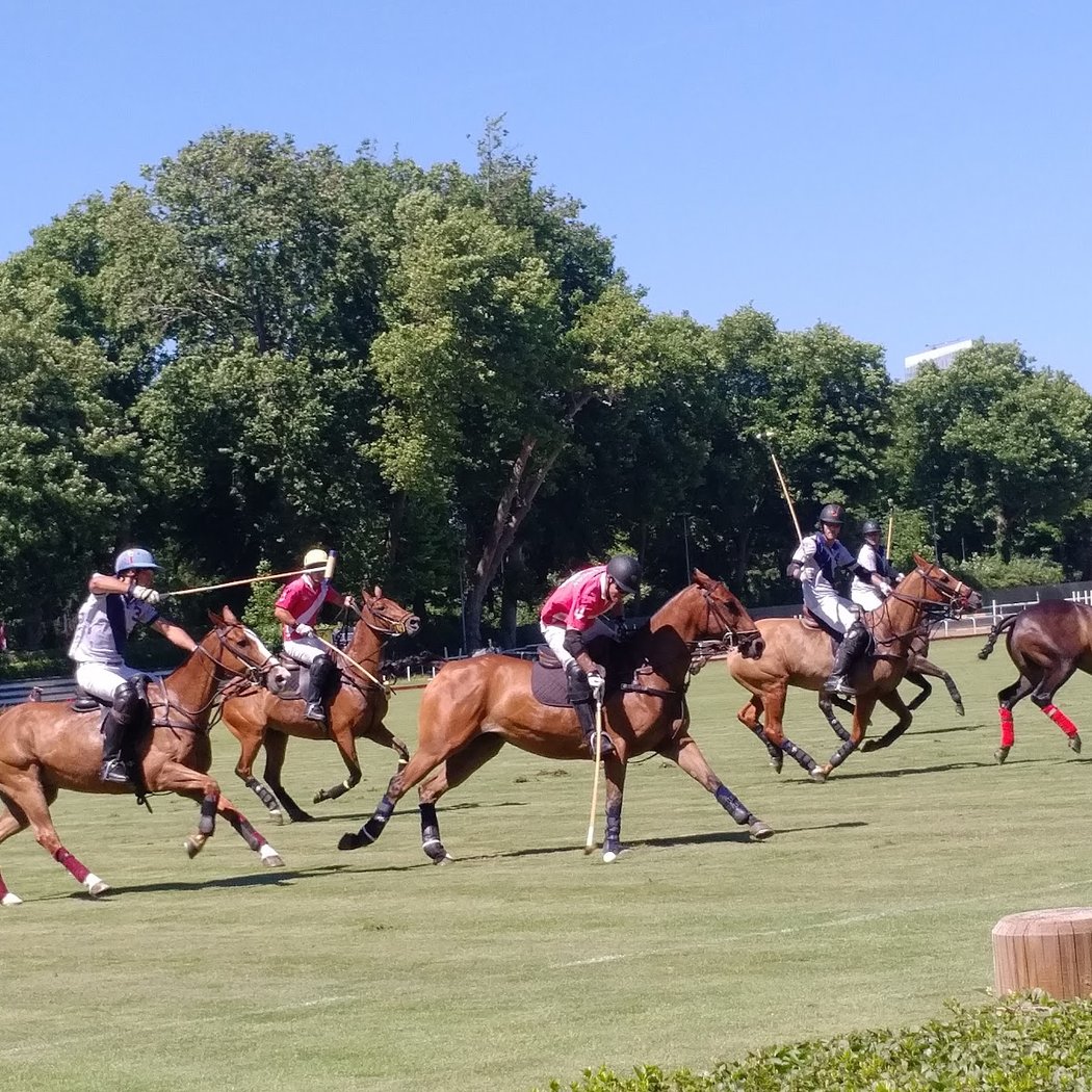 Golf Polo de Paris 1