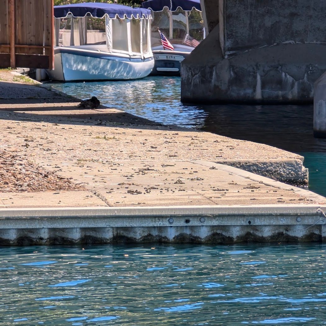 Boat Park Restroom 1