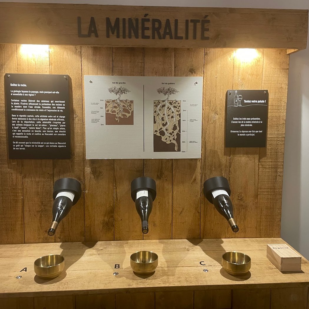 La Muscadetterie 3