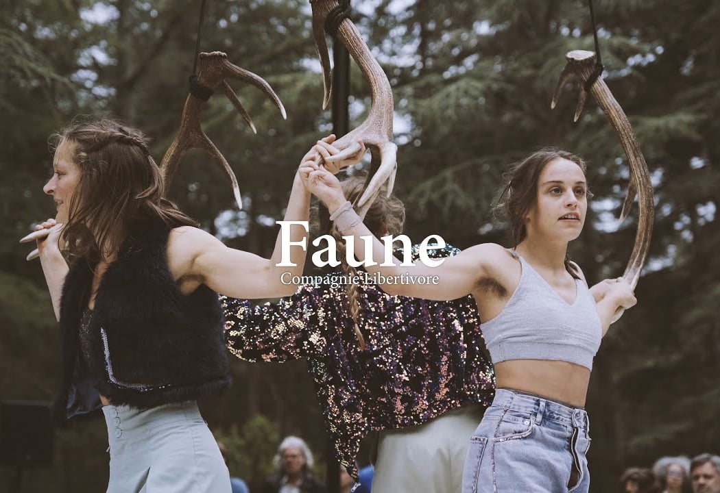 Faune 2