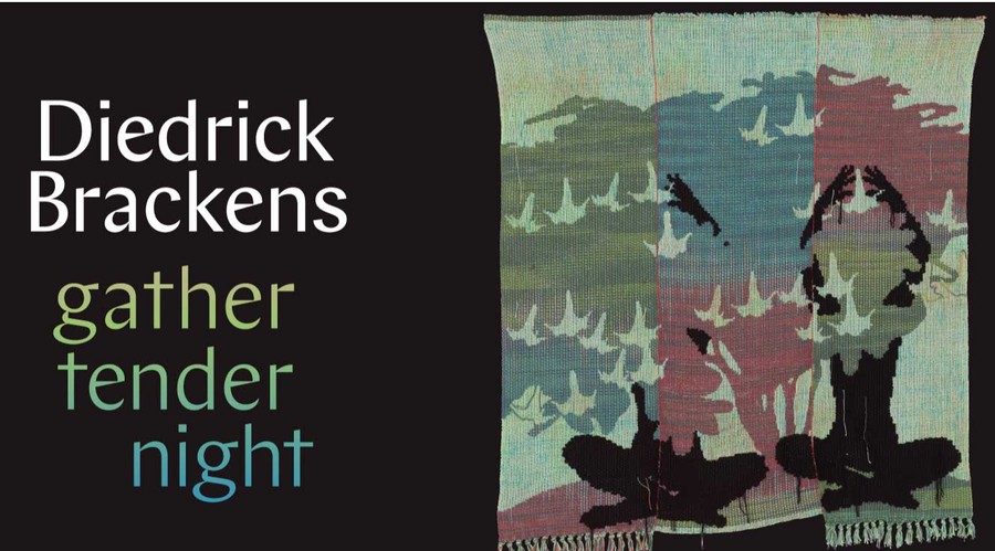 Diedrick Brackens: gather tender night 1