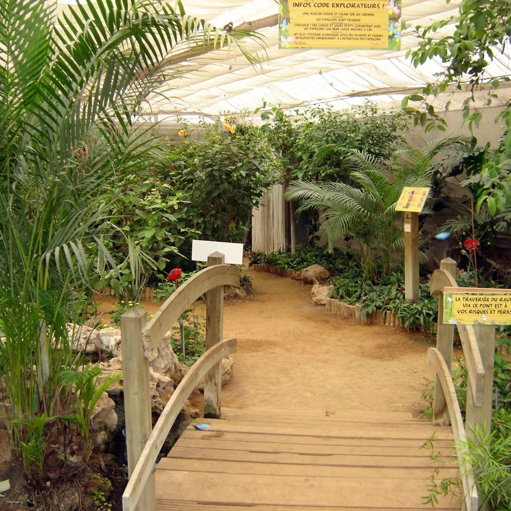 The Butterfly House 2