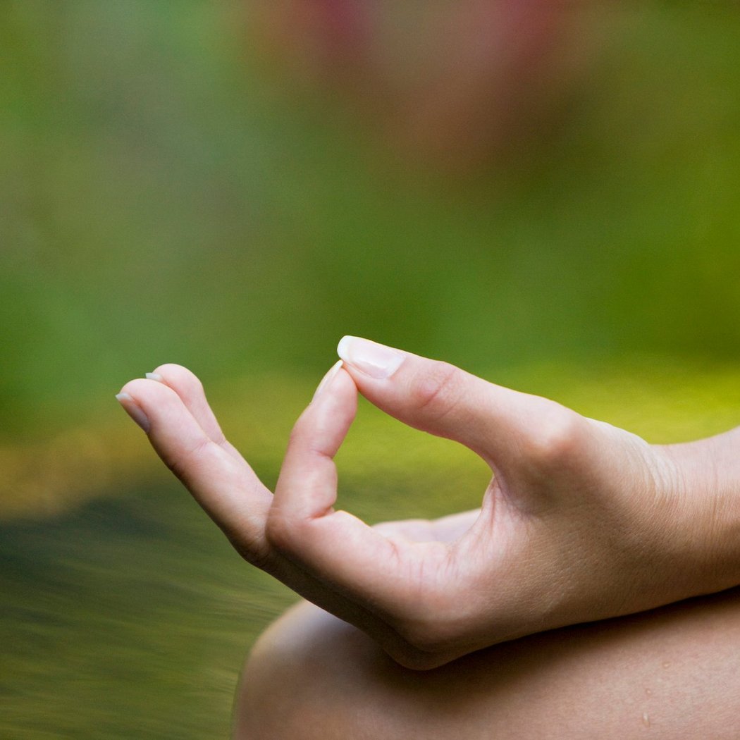 Guided Meditation Evenings with Tarika Lovegarden: Loving-Kindness Meditation 2