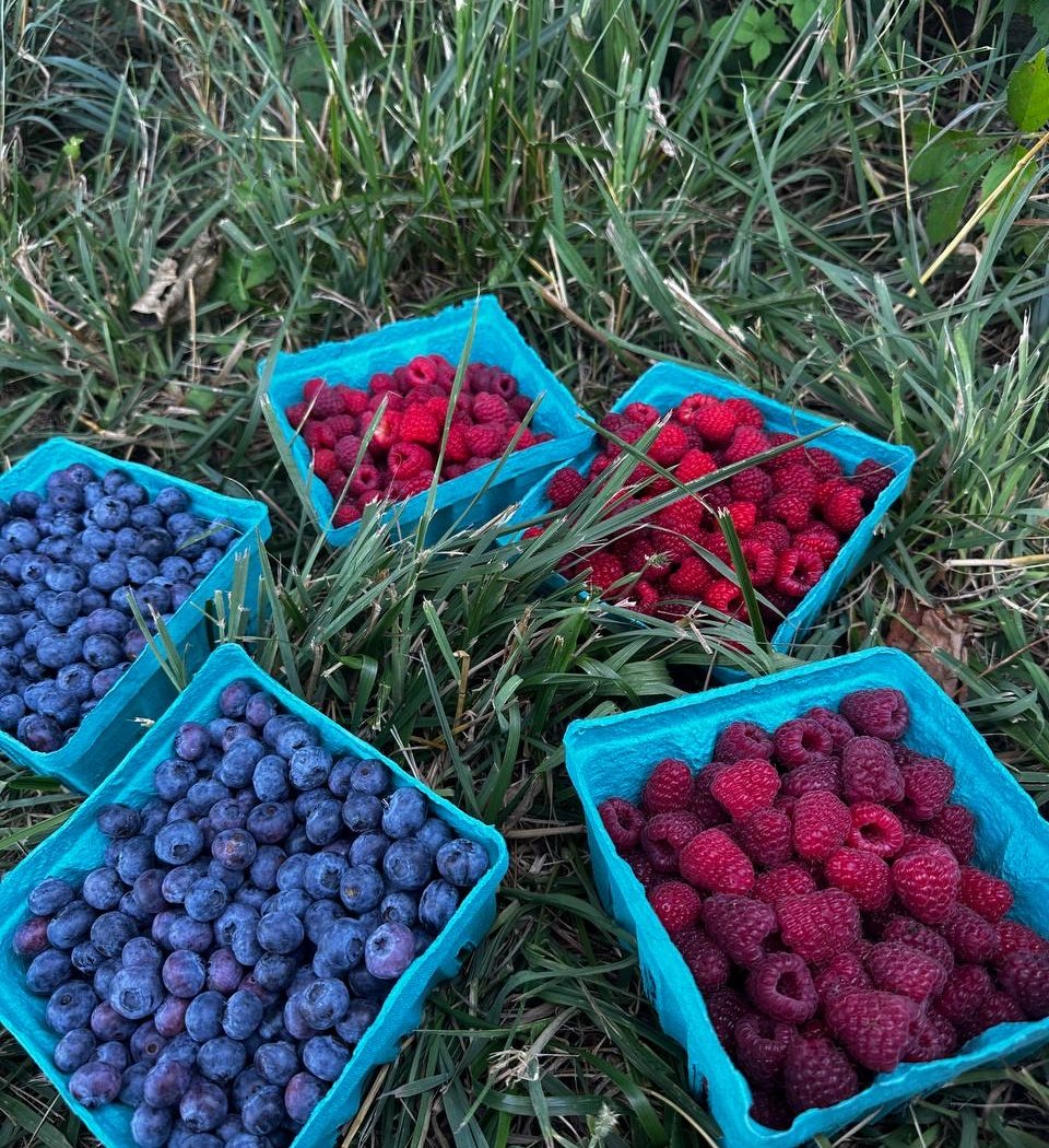 Lehman's Orchards 1