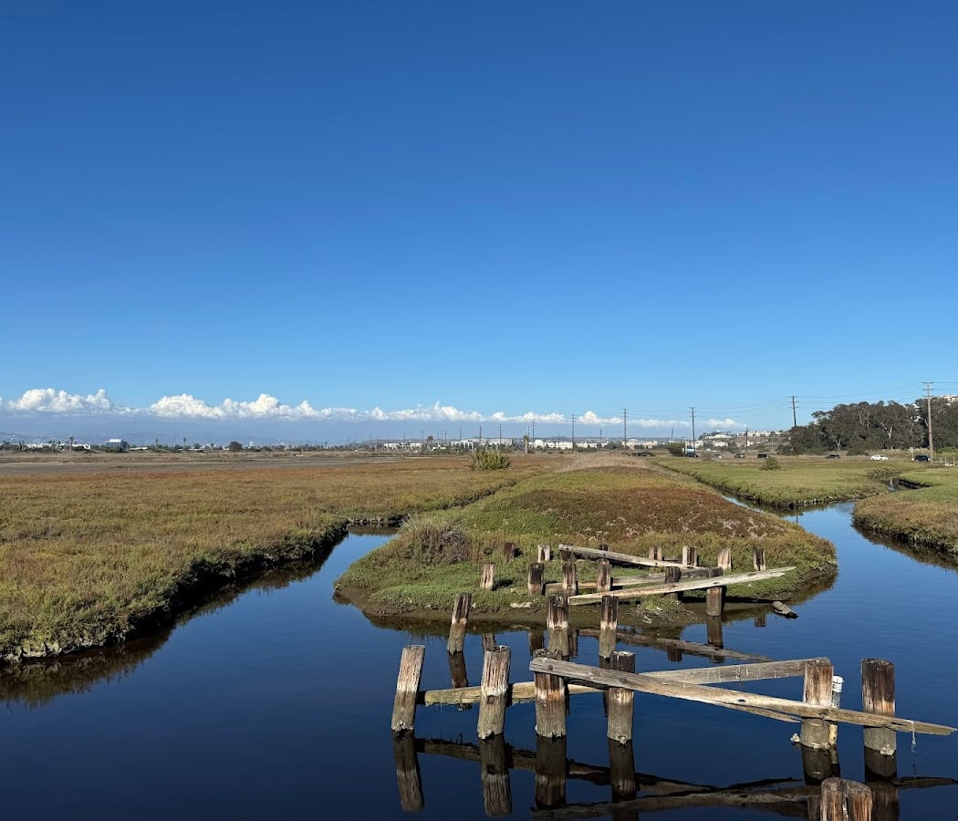 Friends of Ballona Wetlands 1