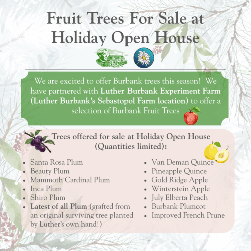 Holiday Open House 2