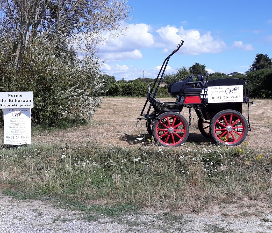 Balade à cheval golfe du morbihan 4
