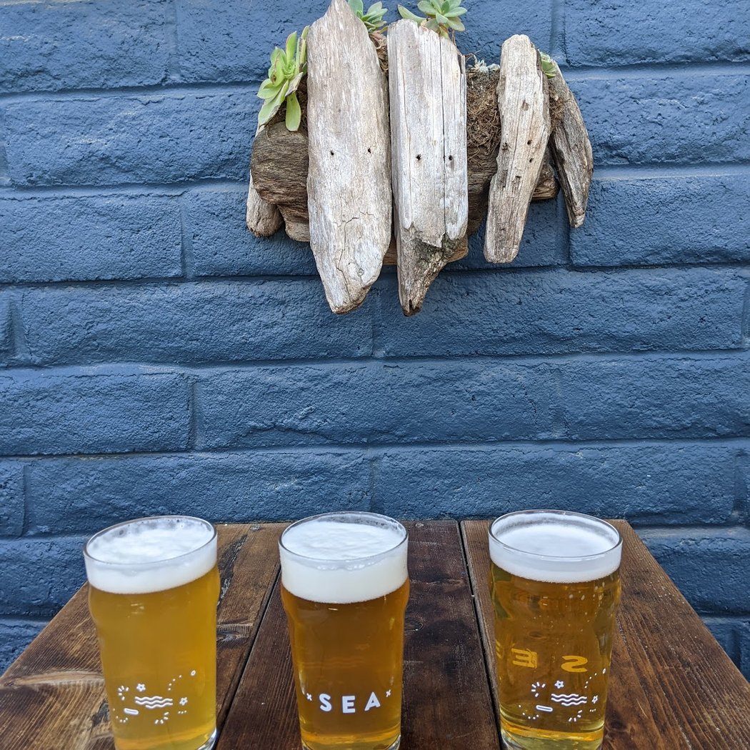Activities - SF Beer Week 3