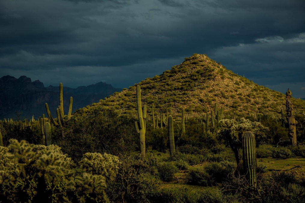 Usery Mountain Regional Park 3
