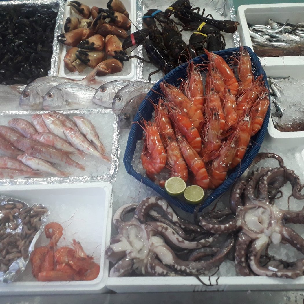 Auber-Fish 1