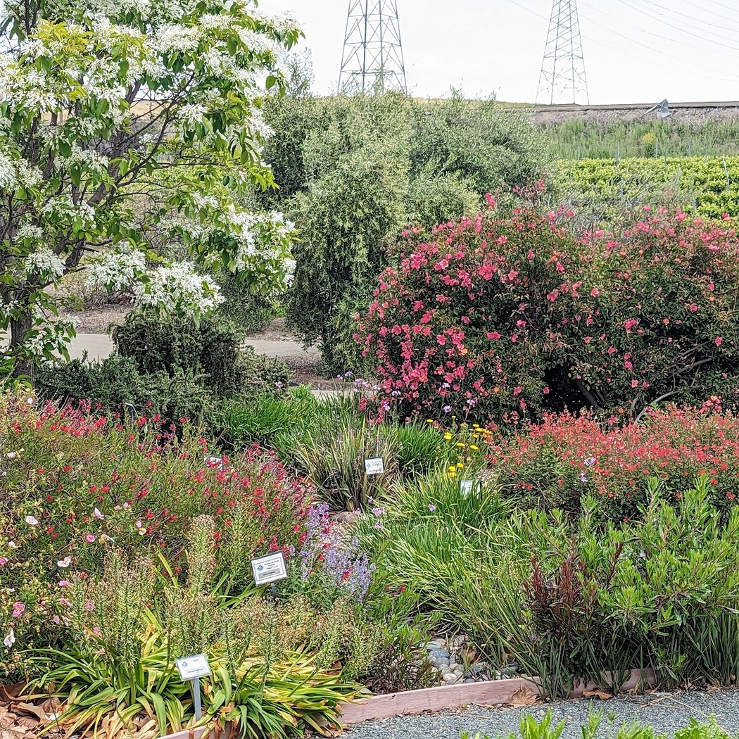 Master Gardeners of Alameda County Livermore Demonstration Garden 2