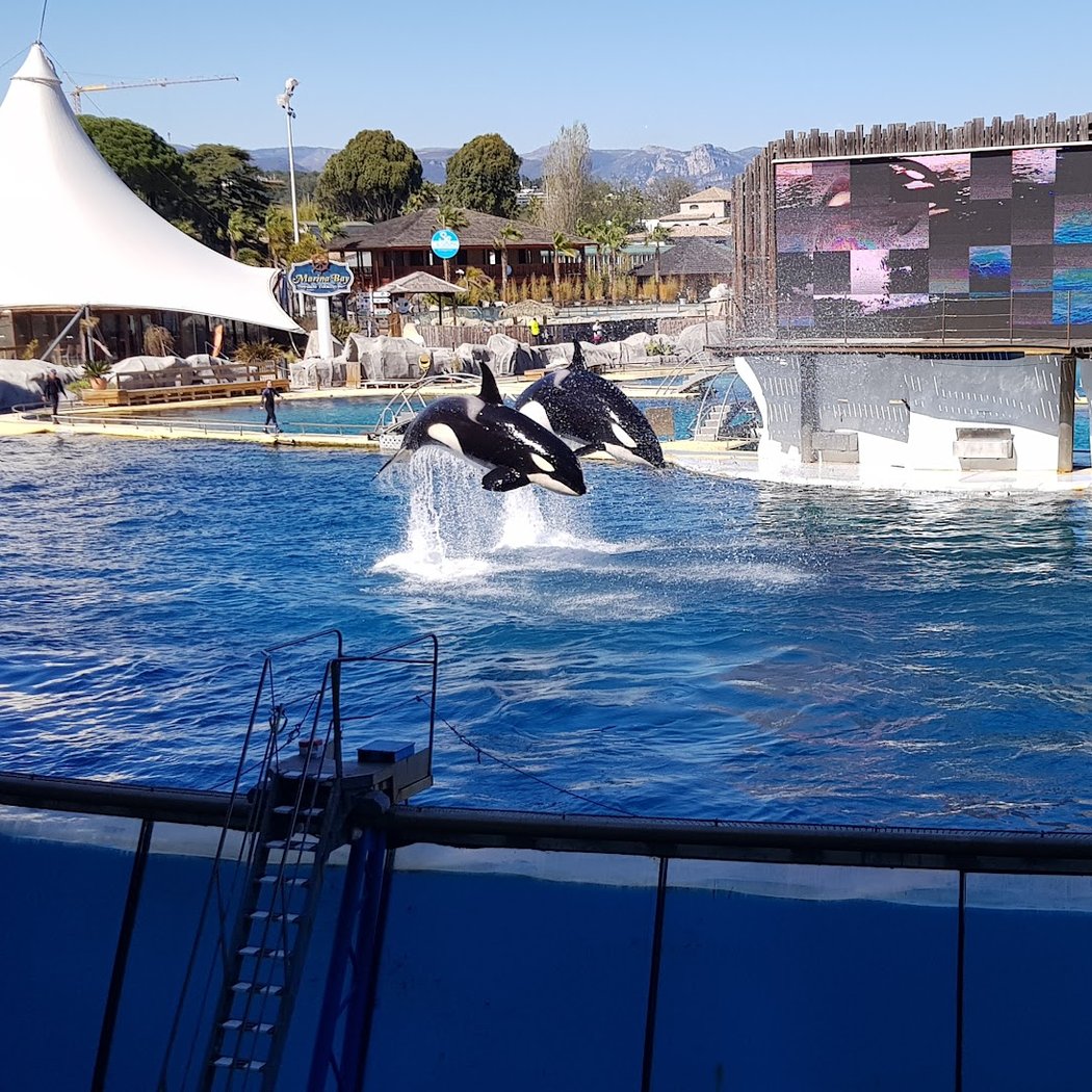 Marineland 3