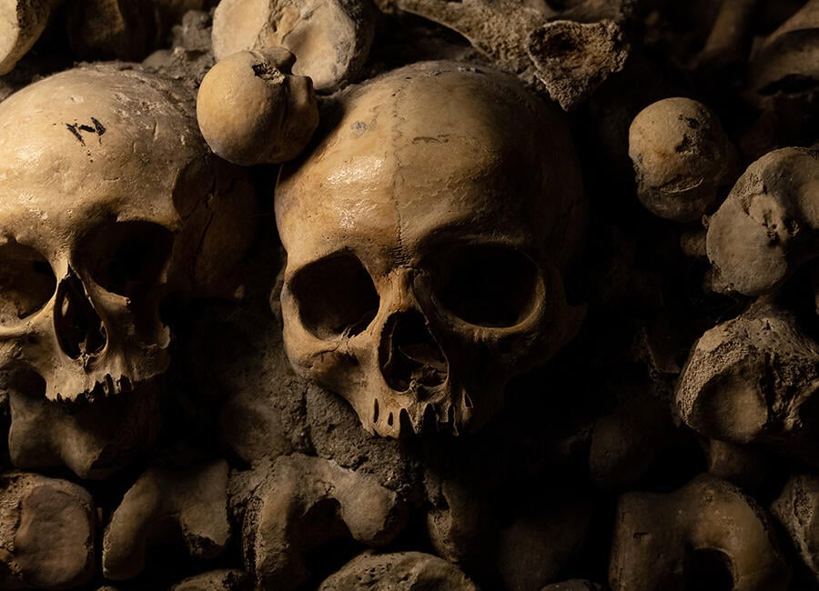 Paris Catacombs Tour 1