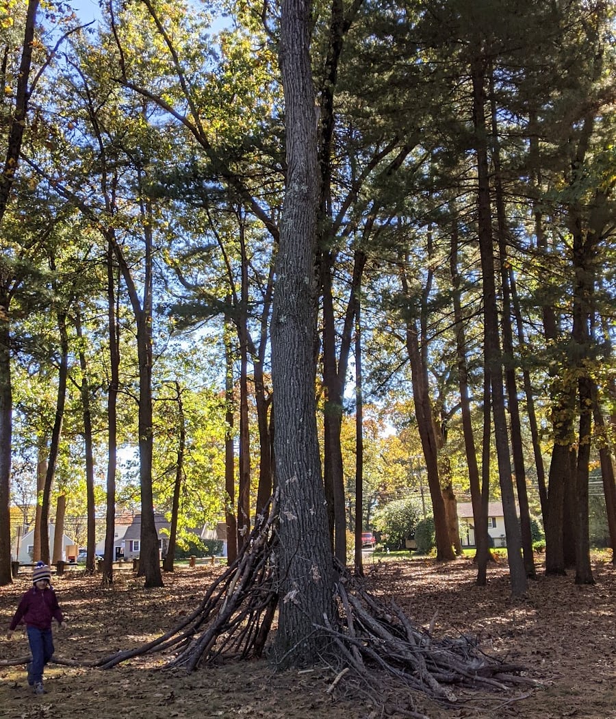 Brainerd Park 4