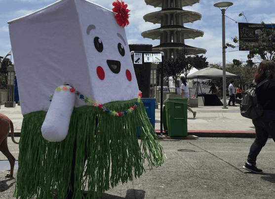 Northern California Soy and Tofu Festival 2026