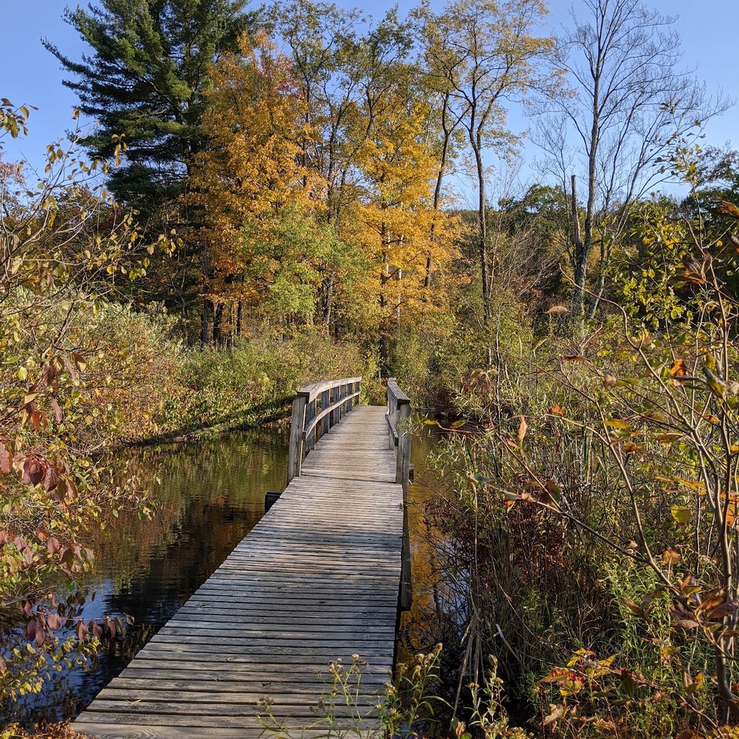 Thankful for Beavers Hike 5