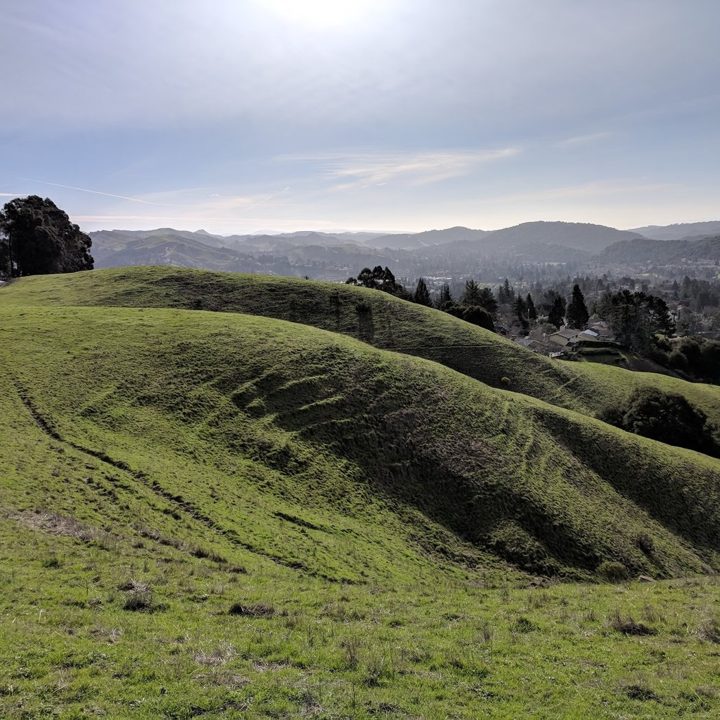 Orinda Oaks Park 3