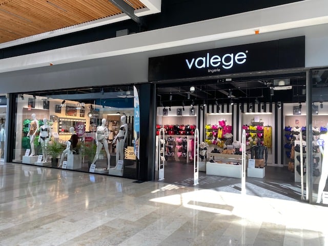 Valege 1