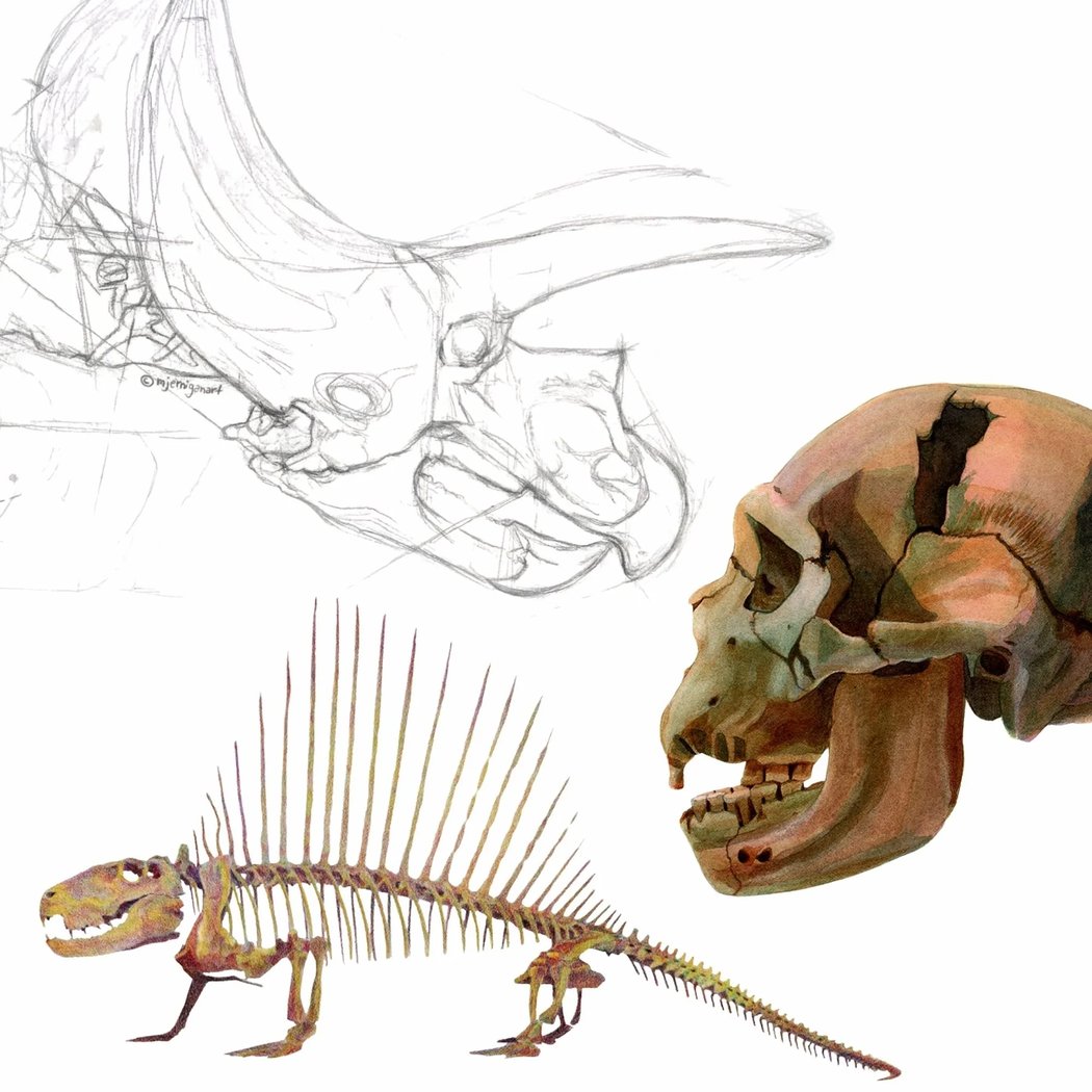Paleo Art: 2-Day Drawing and Watercolor Workshop 1