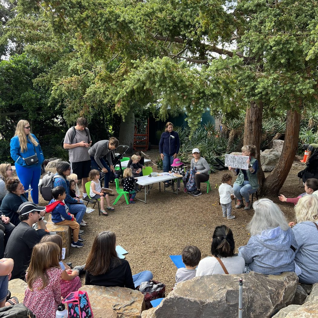 The Ruth Bancroft Garden & Nursery 2