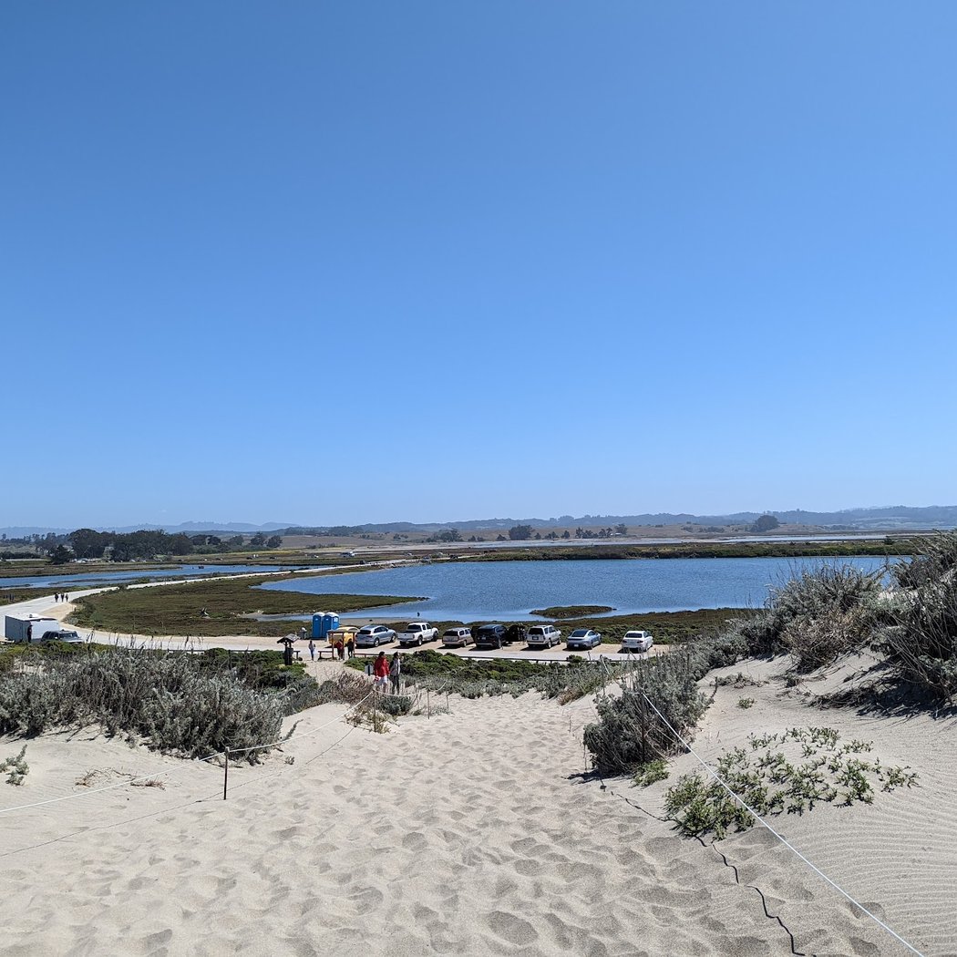 Surfrider Monterey County Beach Cleanup 2